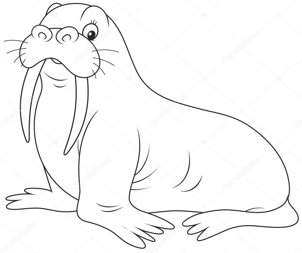 Detail Walrus Black And White Clipart Nomer 9