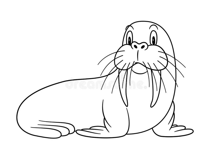 Detail Walrus Black And White Clipart Nomer 17