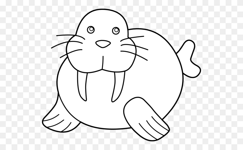 Detail Walrus Black And White Clipart Nomer 19