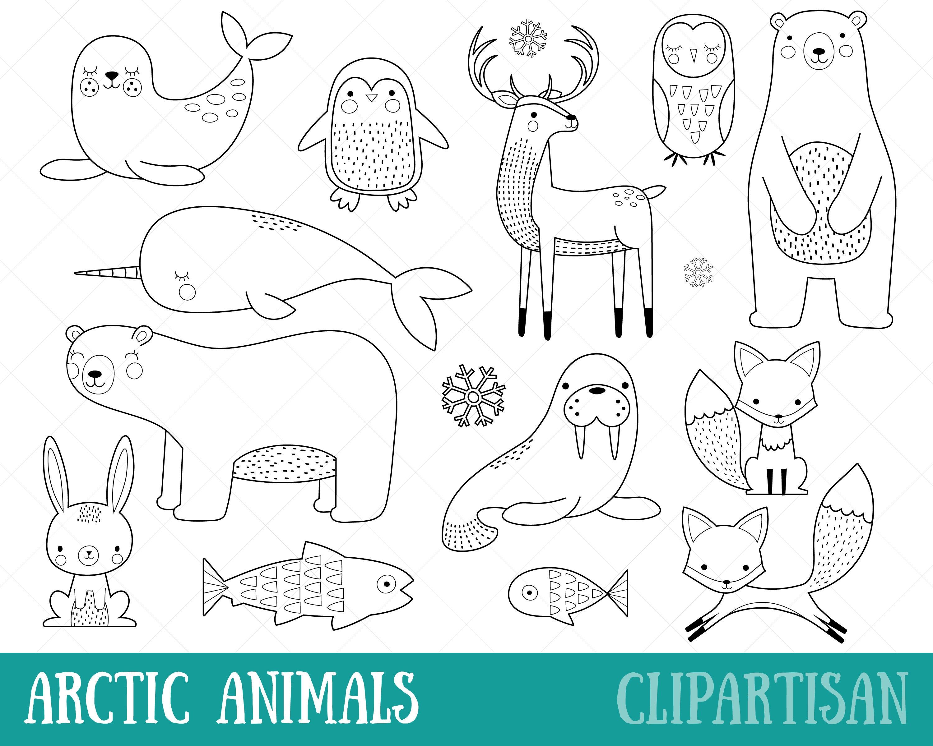 Detail Walrus Black And White Clipart Nomer 26