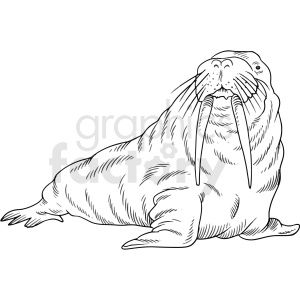 Detail Walrus Black And White Clipart Nomer 5