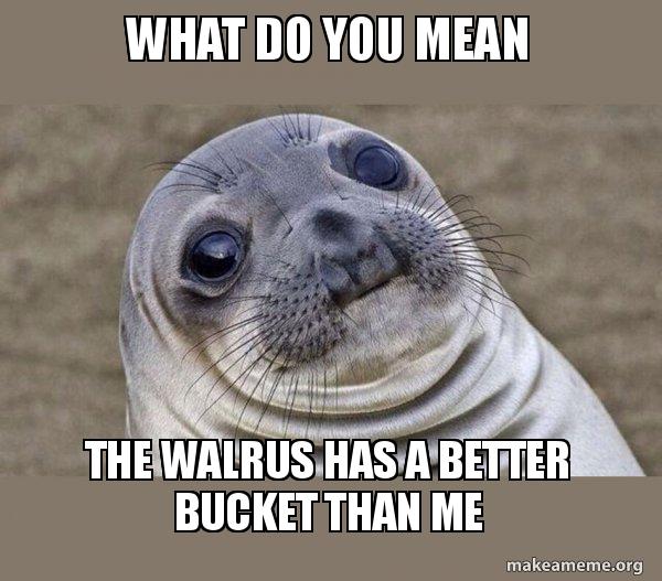 Detail Walrus Bucket Meme Nomer 14