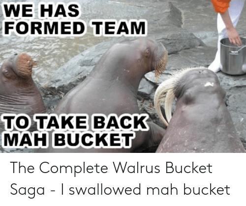 Detail Walrus Bucket Meme Nomer 39