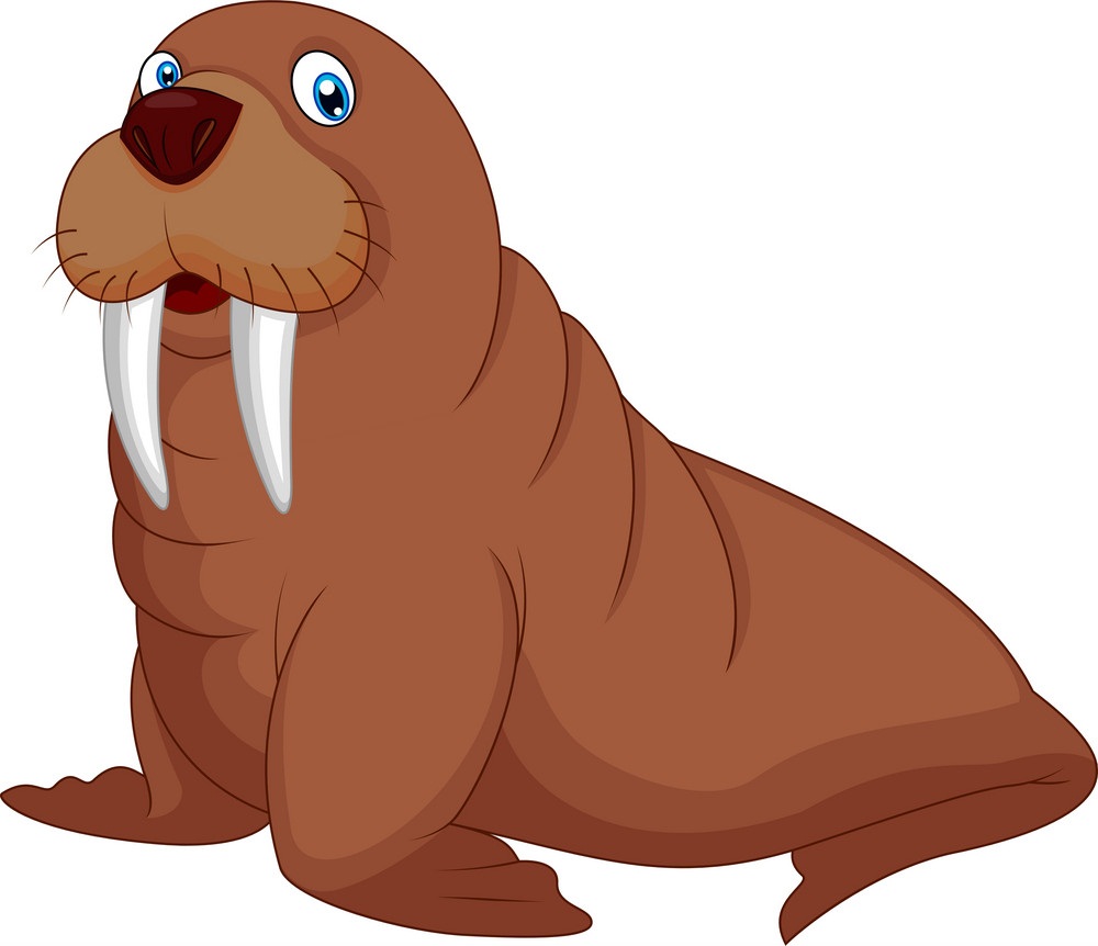 Detail Walrus Clipart Nomer 9