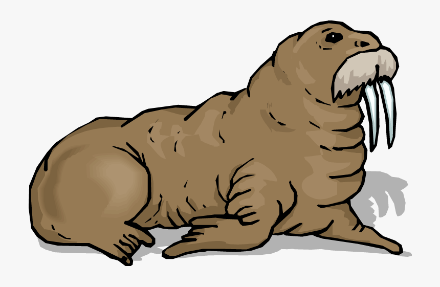 Detail Walrus Clipart Nomer 3