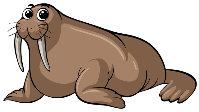 Detail Walrus Clipart Nomer 36