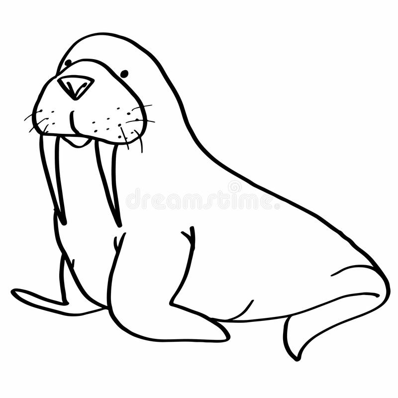 Detail Walrus Clipart Black And White Nomer 7