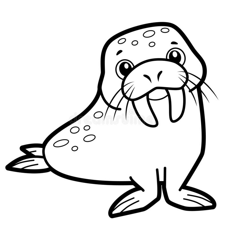 Detail Walrus Clipart Black And White Nomer 13