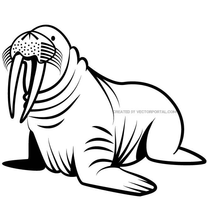 Detail Walrus Clipart Black And White Nomer 22