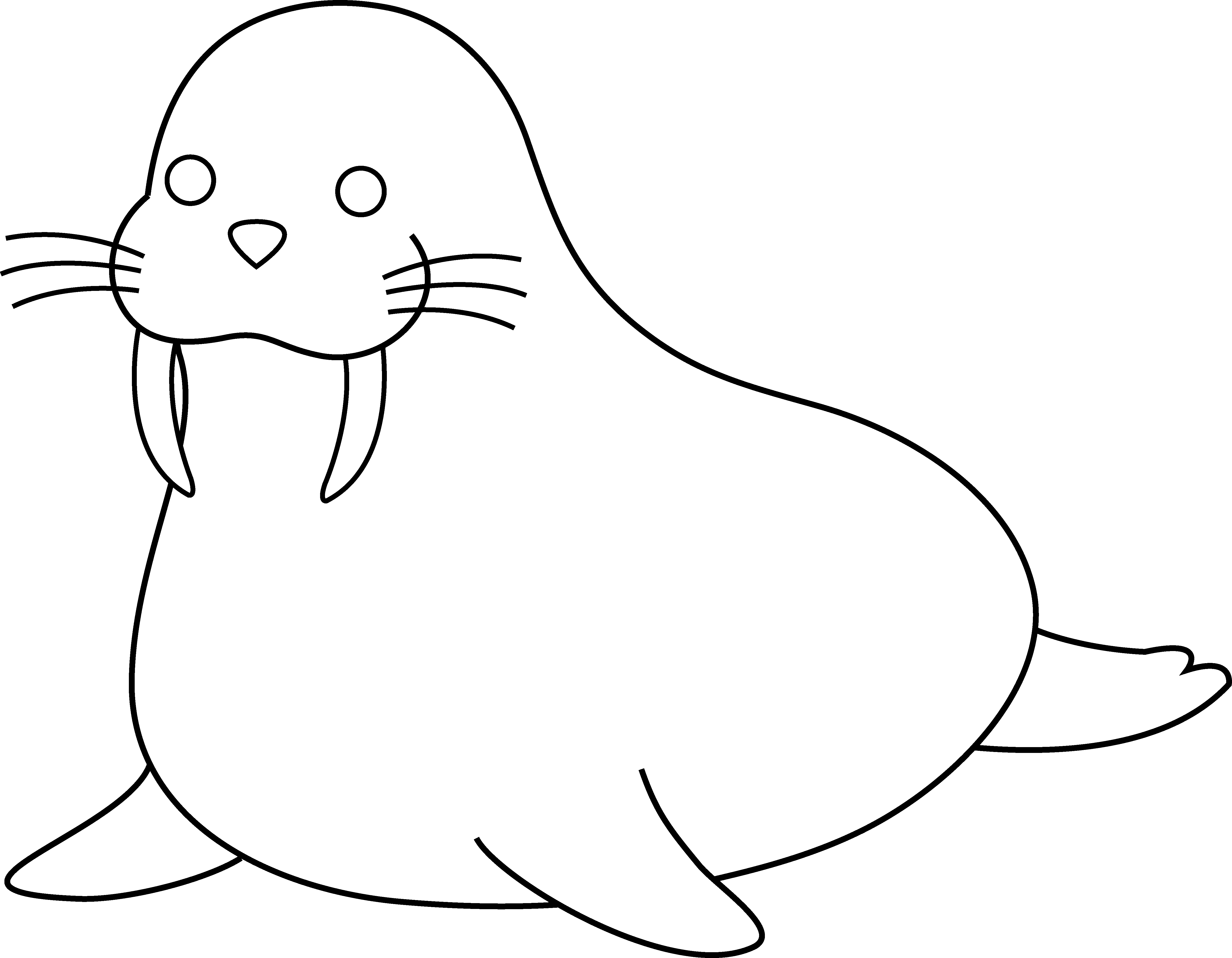 Detail Walrus Clipart Black And White Nomer 34
