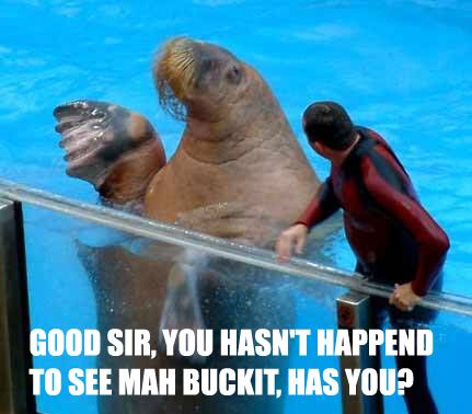 Detail Walrus Meme Bucket Koleksi Nomer 3