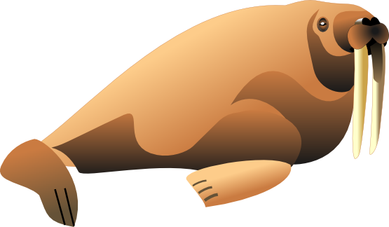 Detail Walrus Png Nomer 19