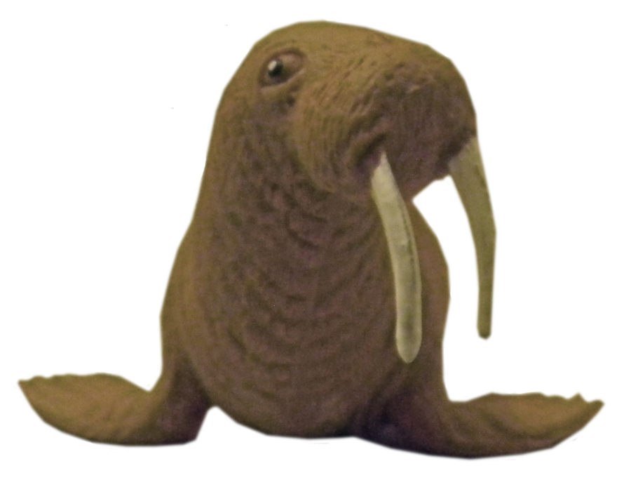 Detail Walrus Png Nomer 45