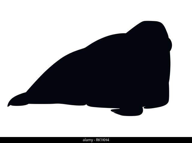Detail Walrus Silhouette Nomer 38