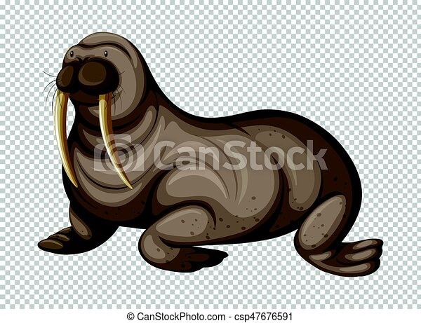 Detail Walrus Transparent Nomer 26