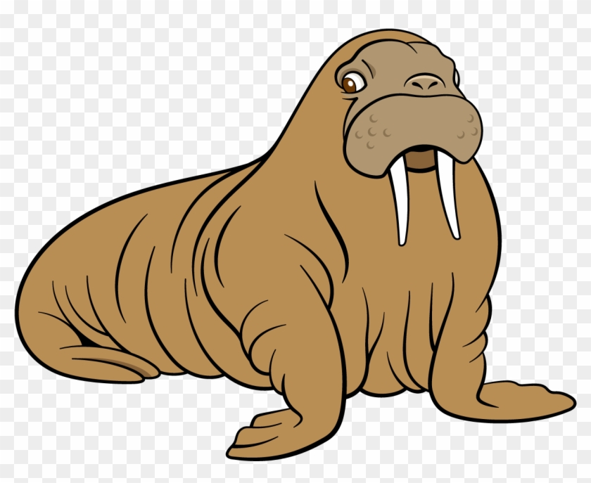 Detail Walrus Transparent Nomer 39