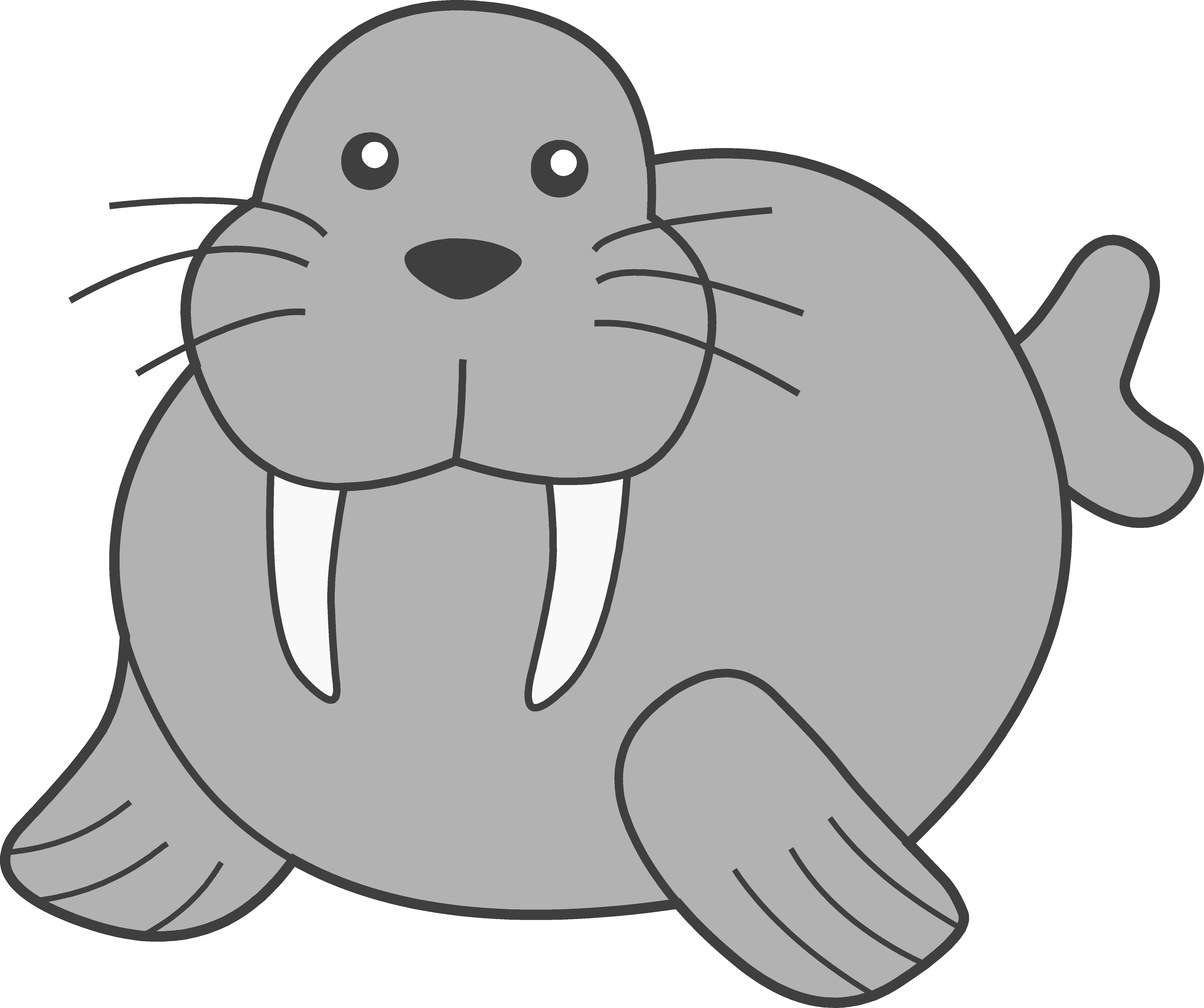 Detail Walrus Transparent Nomer 43