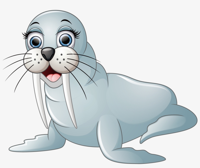 Detail Walrus Transparent Nomer 46