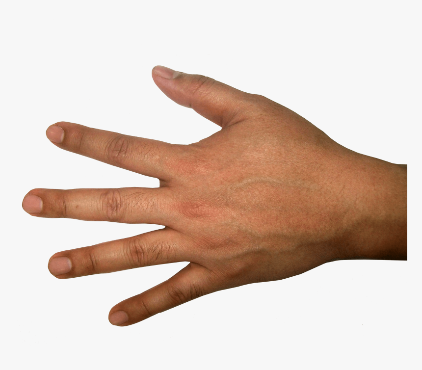 Back Of Hand Png - KibrisPDR