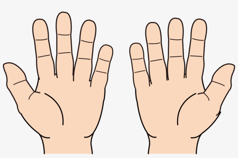 Detail Back Of Hand Png Nomer 38