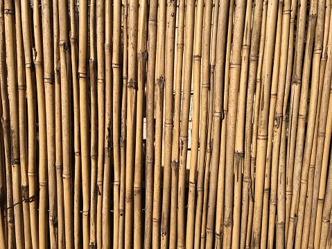 Detail Backdrop Bambu Nomer 12