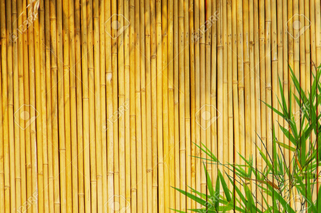 Detail Backdrop Bambu Nomer 14