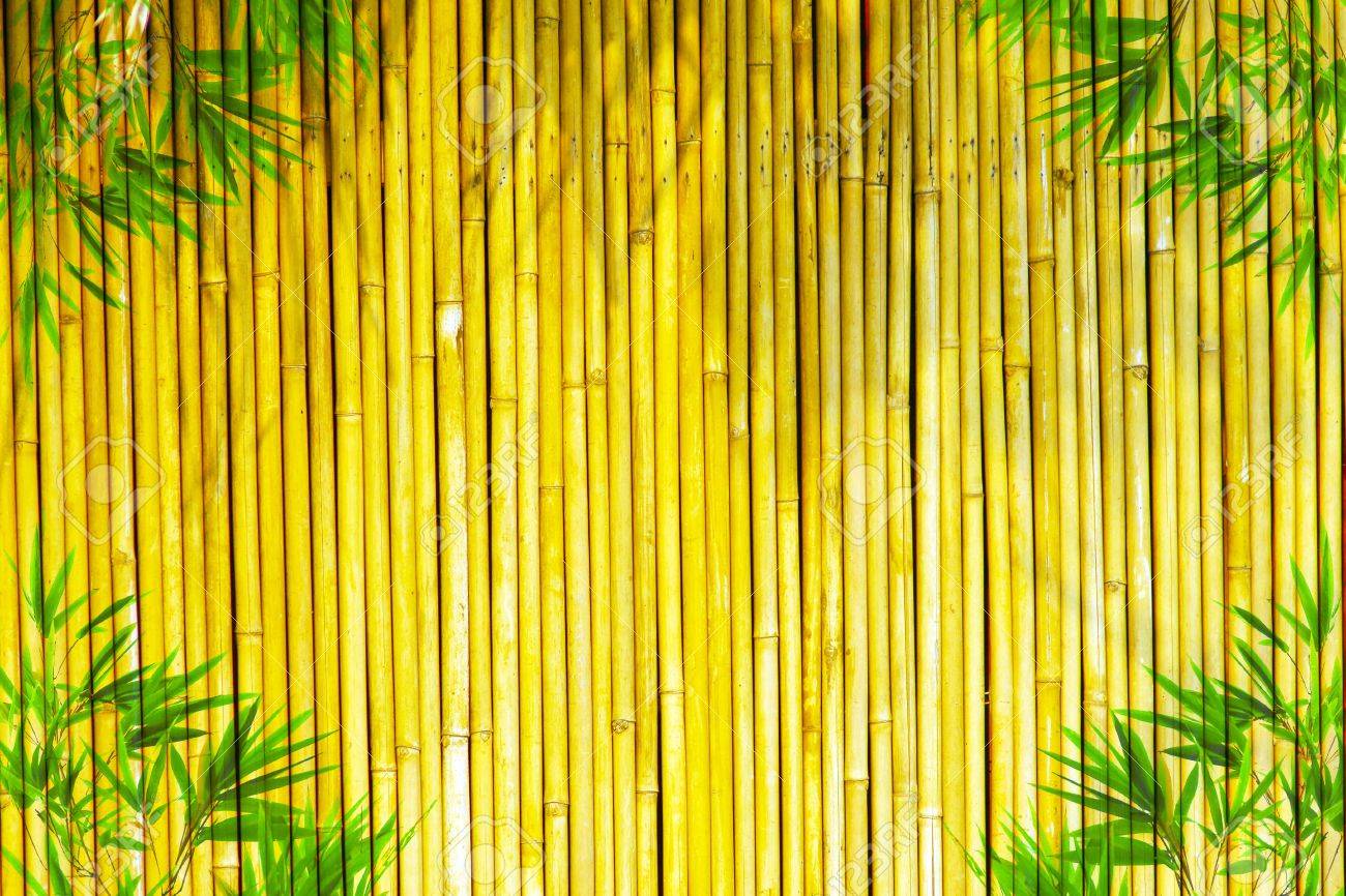 Detail Backdrop Bambu Nomer 15