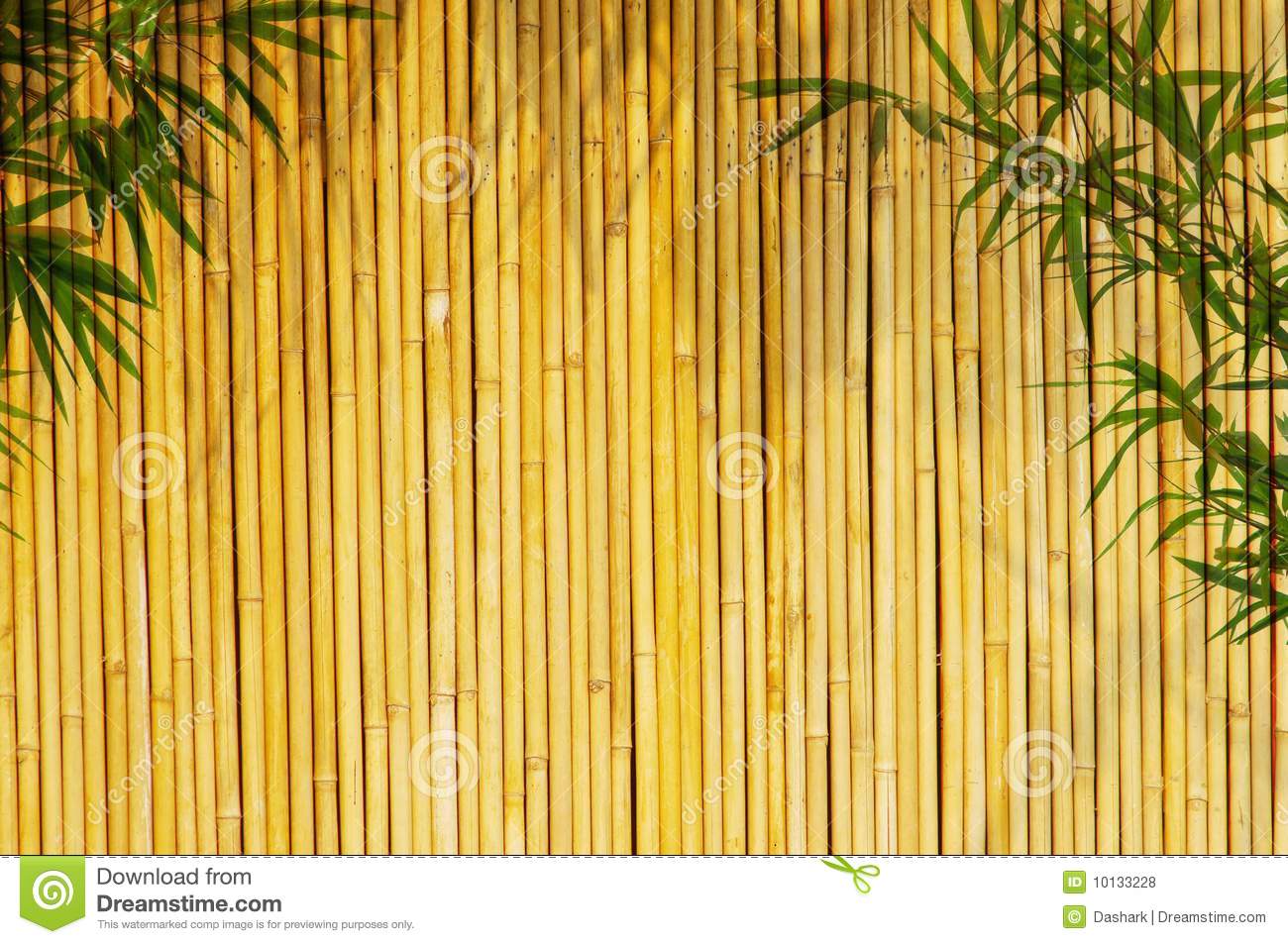 Detail Backdrop Bambu Nomer 18