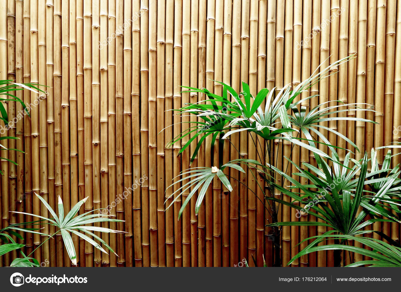 Detail Backdrop Bambu Nomer 19