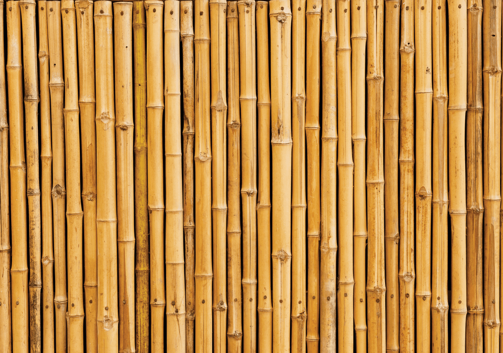 Detail Backdrop Bambu Nomer 21