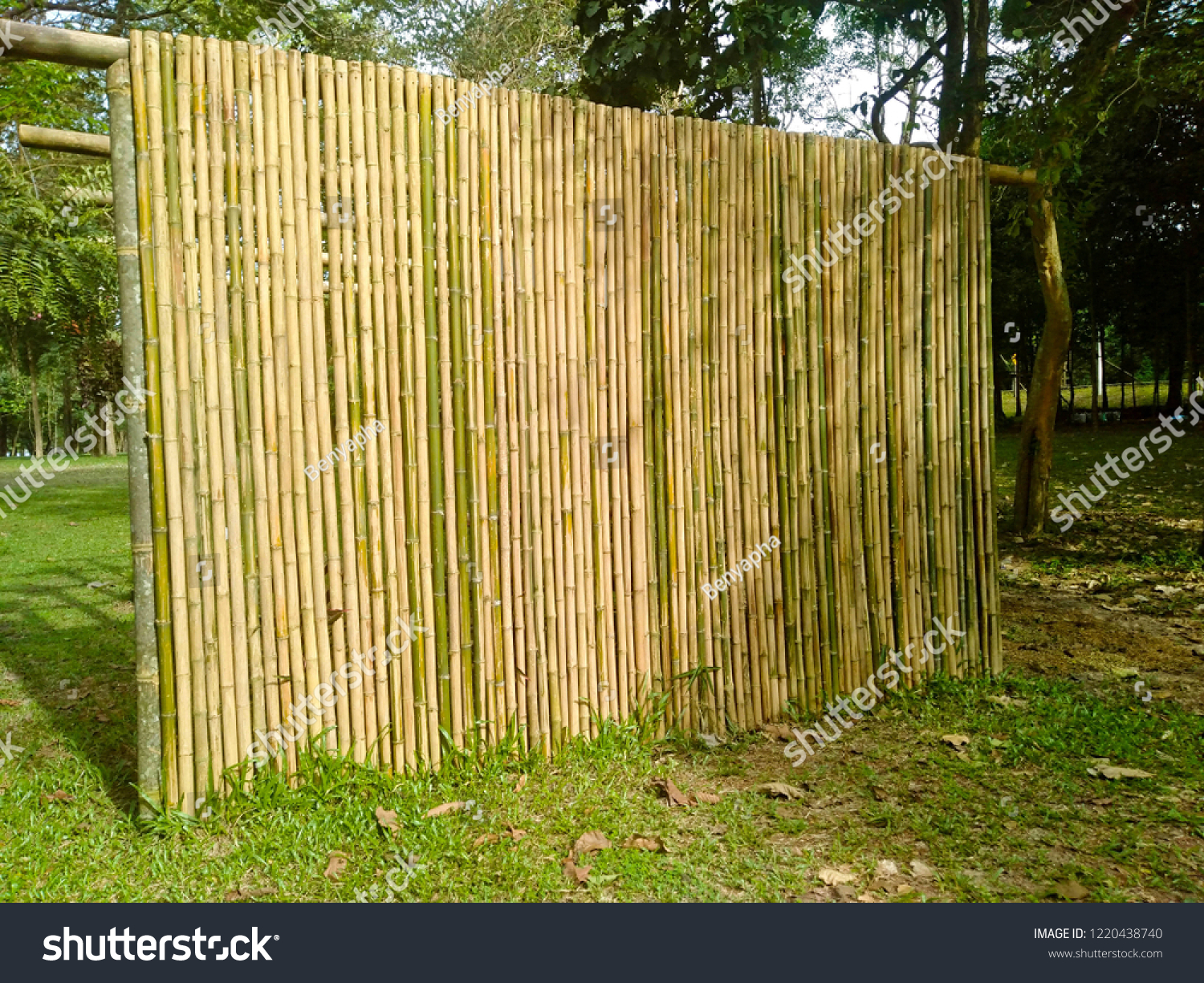 Detail Backdrop Bambu Nomer 22