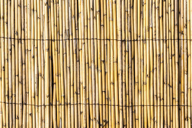 Detail Backdrop Bambu Nomer 24