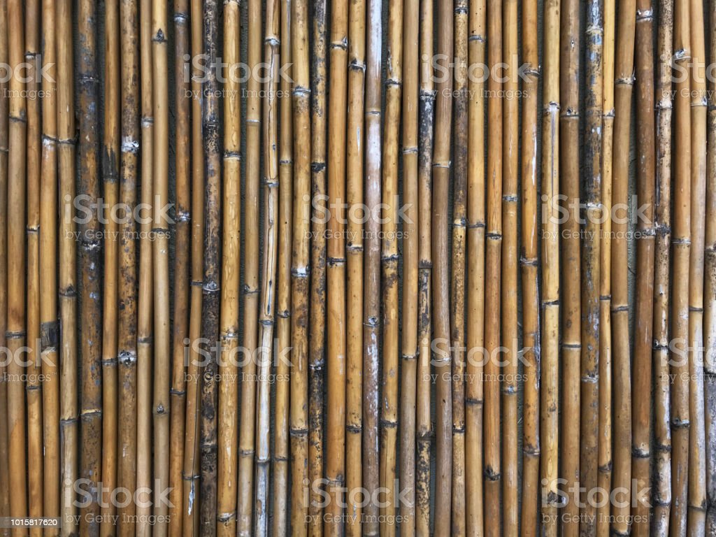 Detail Backdrop Bambu Nomer 26