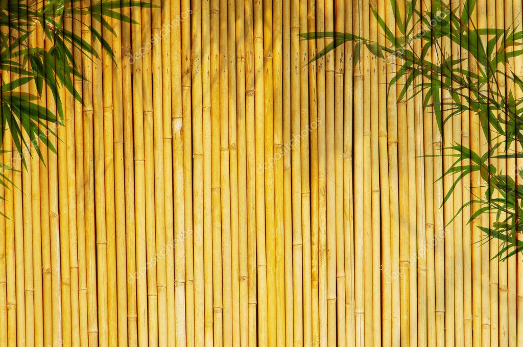 Detail Backdrop Bambu Nomer 27