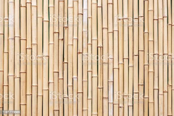 Detail Backdrop Bambu Nomer 4