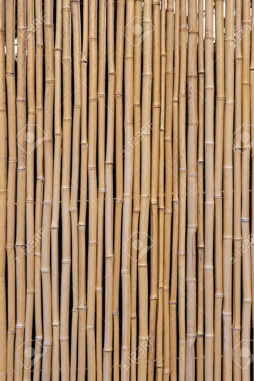 Detail Backdrop Bambu Nomer 31