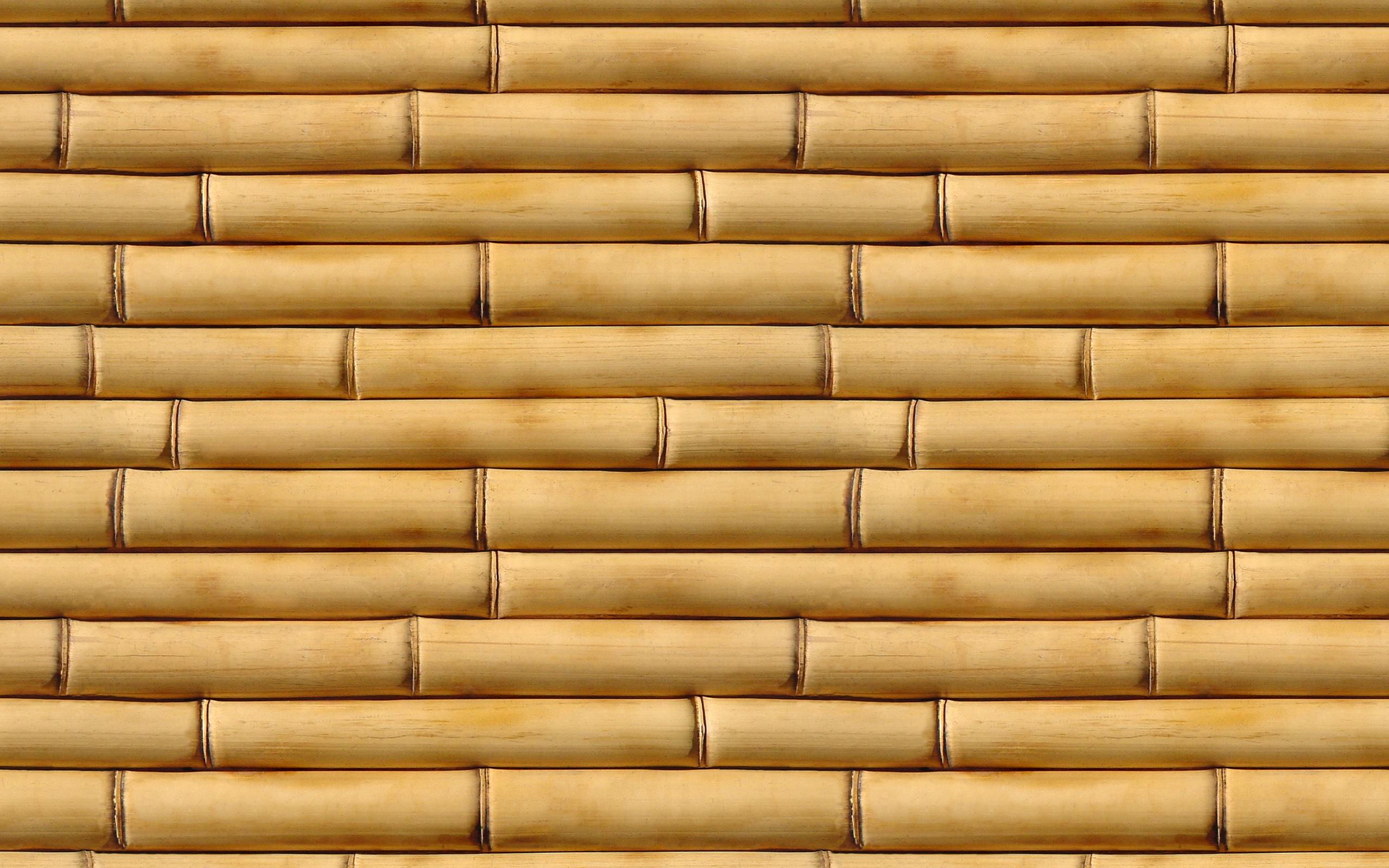 Detail Backdrop Bambu Nomer 35