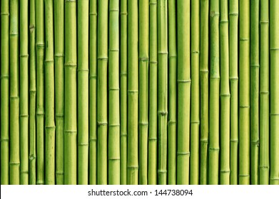 Detail Backdrop Bambu Nomer 37