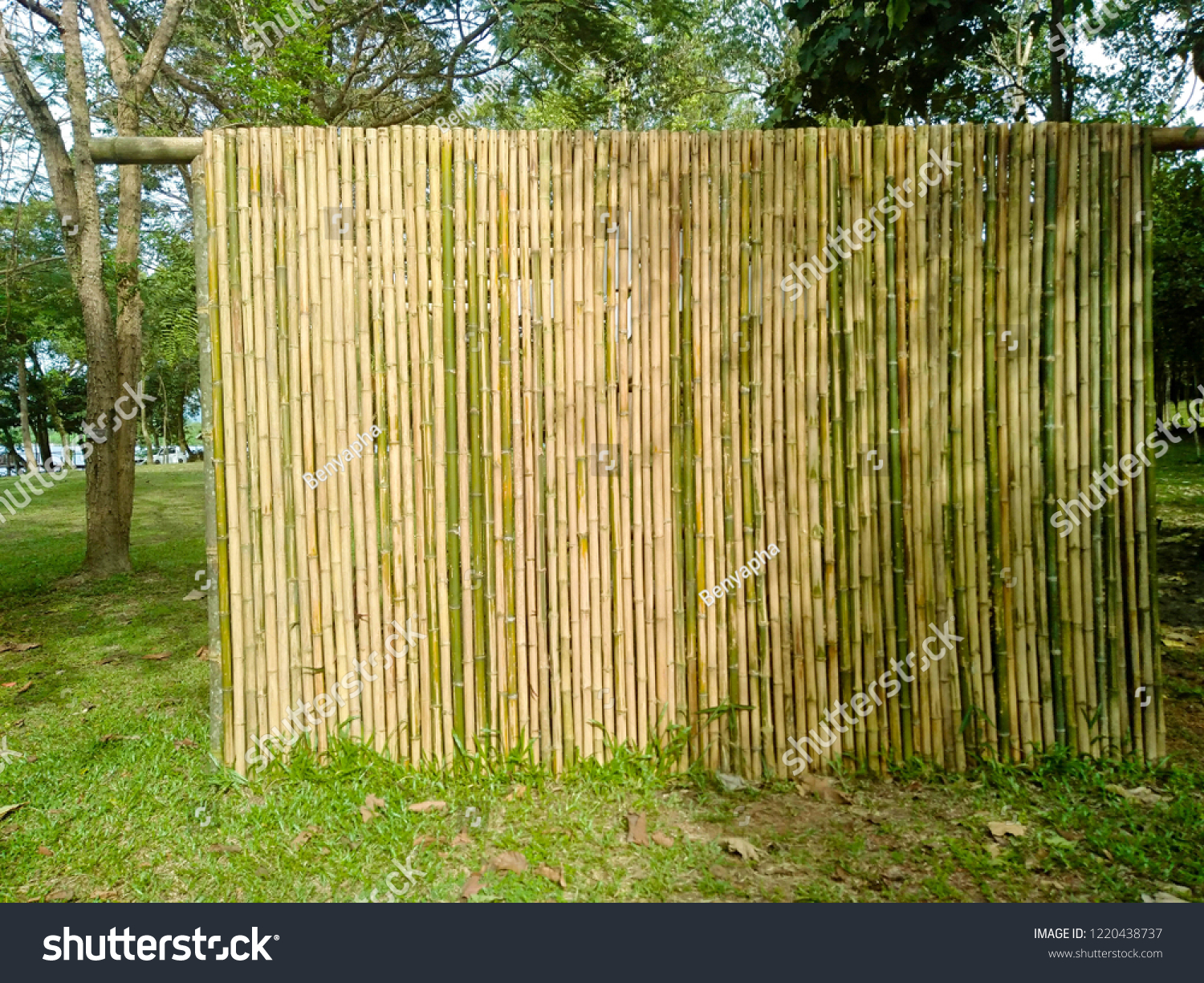 Detail Backdrop Bambu Nomer 5