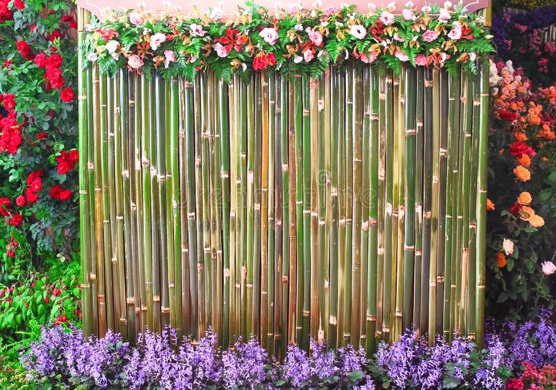 Detail Backdrop Bambu Nomer 40
