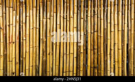Detail Backdrop Bambu Nomer 42