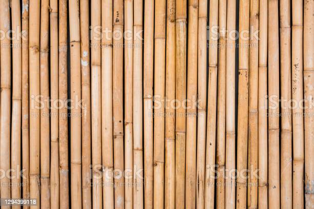 Detail Backdrop Bambu Nomer 43