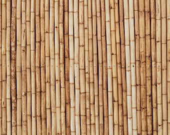 Detail Backdrop Bambu Nomer 46