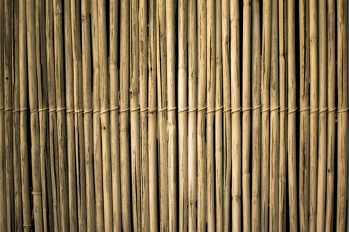 Detail Backdrop Bambu Nomer 49
