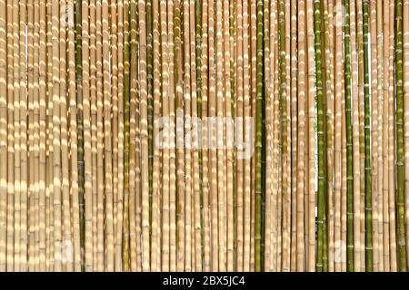 Detail Backdrop Bambu Nomer 50