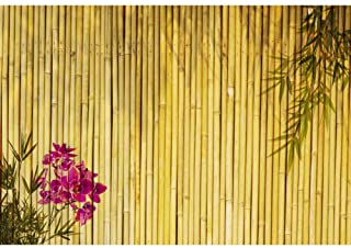 Detail Backdrop Bambu Nomer 7
