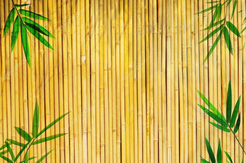 Detail Backdrop Bambu Nomer 9