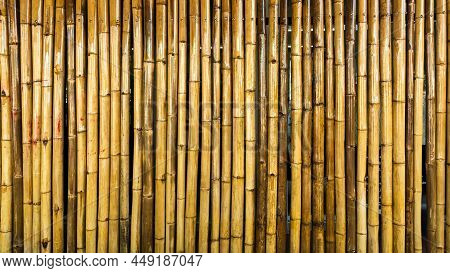 Detail Backdrop Bambu Nomer 10