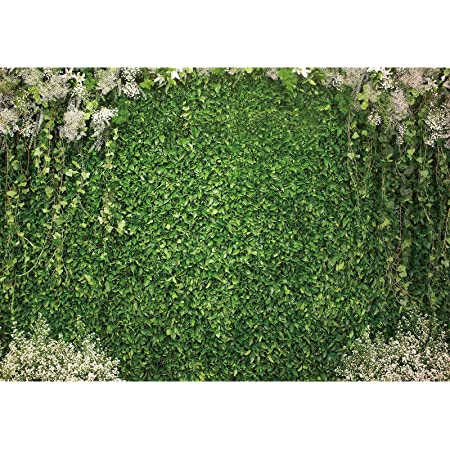 Detail Backdrop Daun Nomer 2