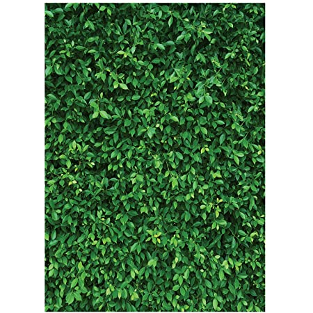 Detail Backdrop Daun Nomer 16